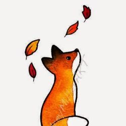 fox666