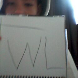 TWL tewilr