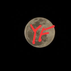 YonIFloW