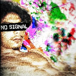 B L K    P R O D S