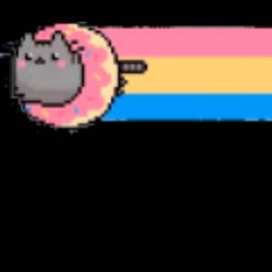 nayan pusheen