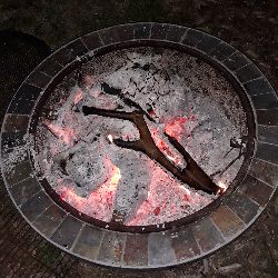 DS1