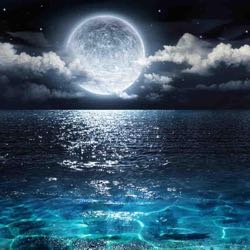 Moon Light