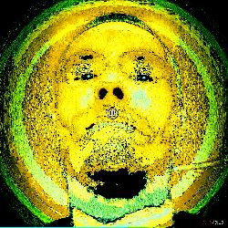 ┏ZEITGENOSSE┛