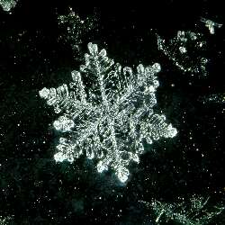 |Schnee|Flo|Ke|