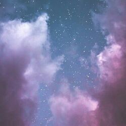 Night Flower