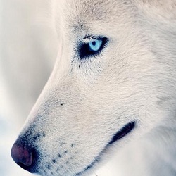 soul