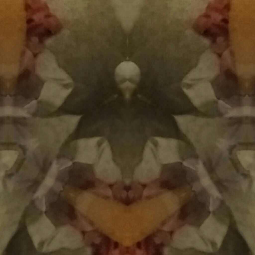 Dymentional Illusion