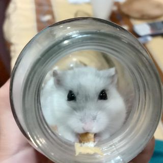 林方怡