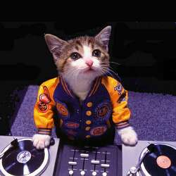DJ BAD