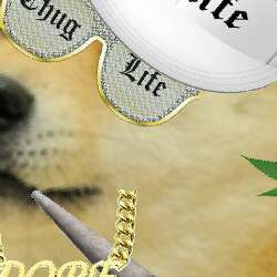 Snoop Doge