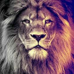 B.Flow7