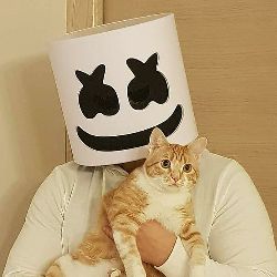 Marshmellow