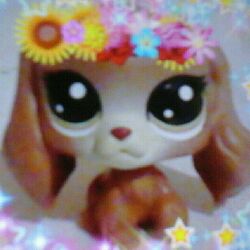 lps pinky