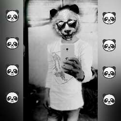 Pandon