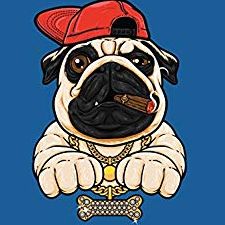 $lim Døgg