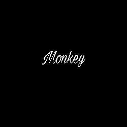 Monkey