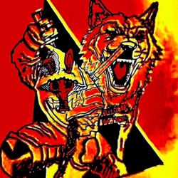 Distorted Wolf