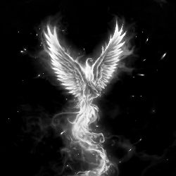 xPhoeniXx