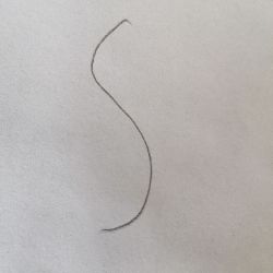 S S S