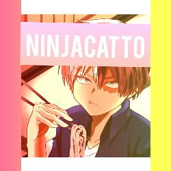 NINJACATTO