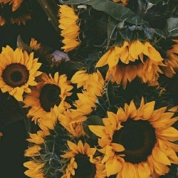 Before October