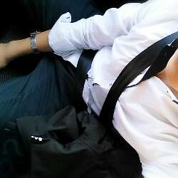 ¶  kiwi  ¶™