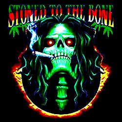 SonicChronic