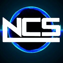 DJ N.C.S.