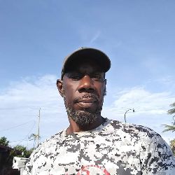 CARLRAY music 305
