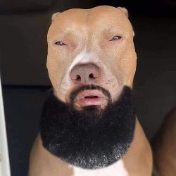 unk