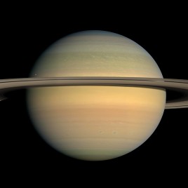 NEPTUNELL