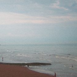 Placeboeffectx