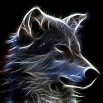 Arcticwolf