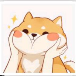 shiba