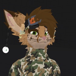 Niva The Wolf