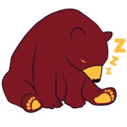 Radio Oso Xdd