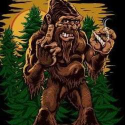 'squatch 