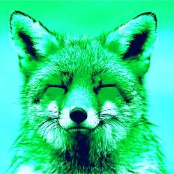 Foxwinter