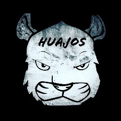 Huajos