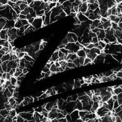 ZanneoxOff