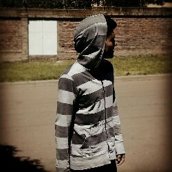 dalil
