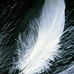 DJ_Gabriela
