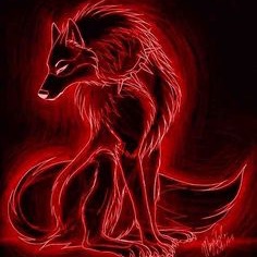 wolferRT