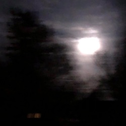 ☪︎ MOON !¡