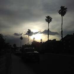 Carlos Tnine Francis