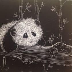 Mr. Pandapants