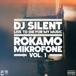 DJ-Silent