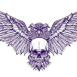 Fly by Night