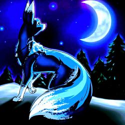 LunarFox66
